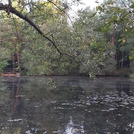 Les Roulottes Des Ris