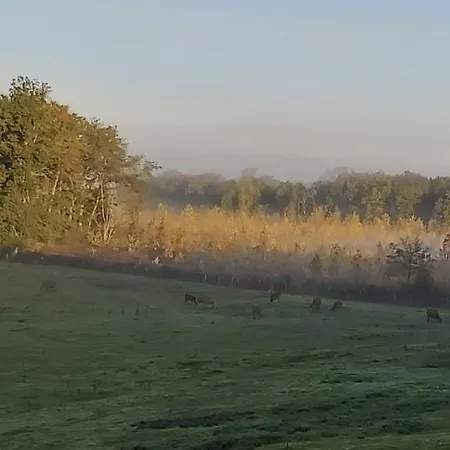 Les Roulottes Des Ris Frühstückspension 3*