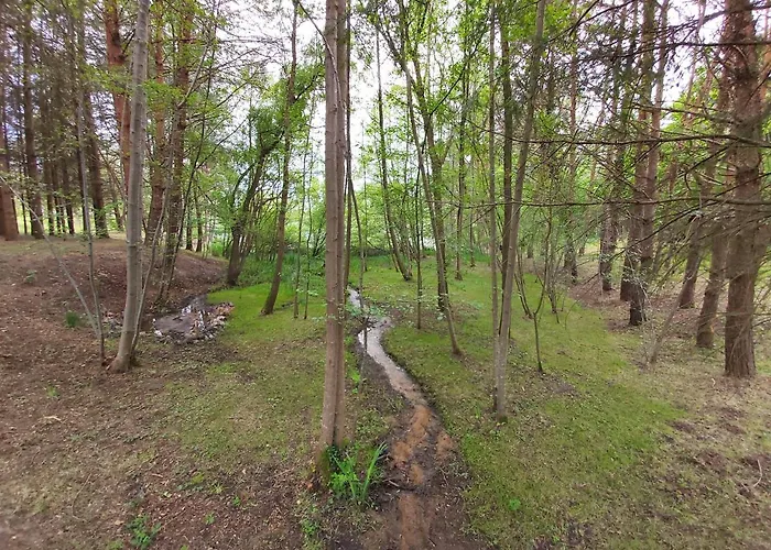 Les Roulottes Des Ris