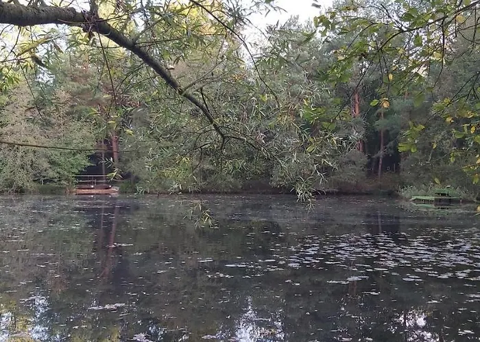 Les Roulottes Des Ris